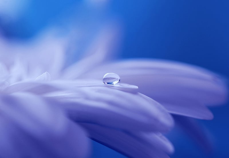 Hidden Wonders